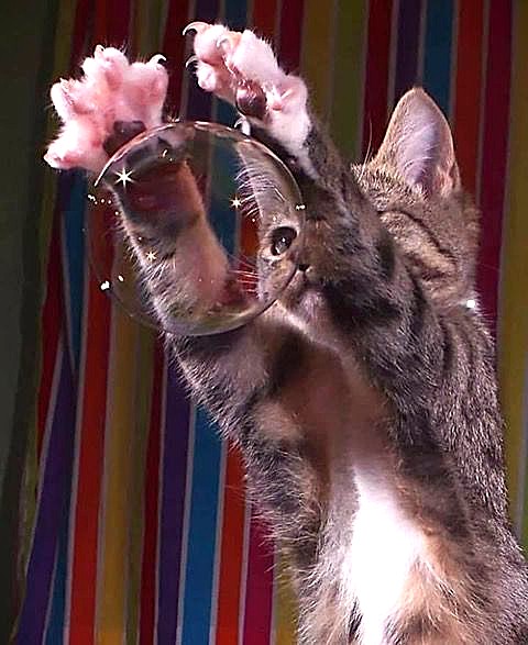 Life is like a shimmering, beautiful soap bubble in your hands, but nobody knows how long you can enjoy this fragile beauty .....