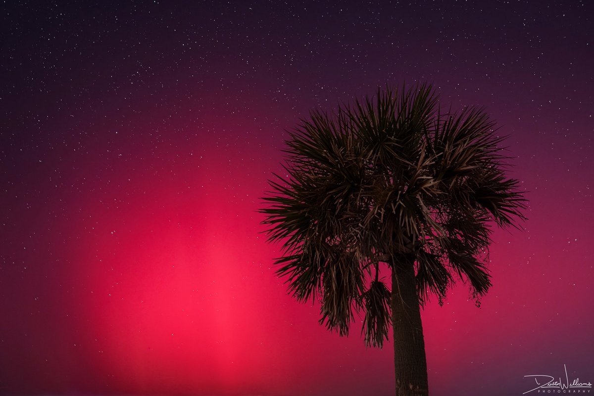 Dustin Williams tweet media