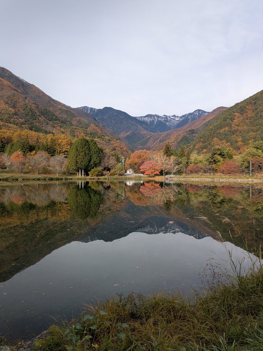 おはようございます。
今朝の #駒ヶ根 は曇りです。
少し寒さが緩んだ朝になりました。

 #駒ヶ根高原 の紅葉は見頃を迎えています🍁そろそろ散り始めているところ…お早めに！
#光前寺 と #こまくさ橋 でライトアップも開催中✨
温かい格好でお越しください。

今日も1日、行ってらっしゃい！