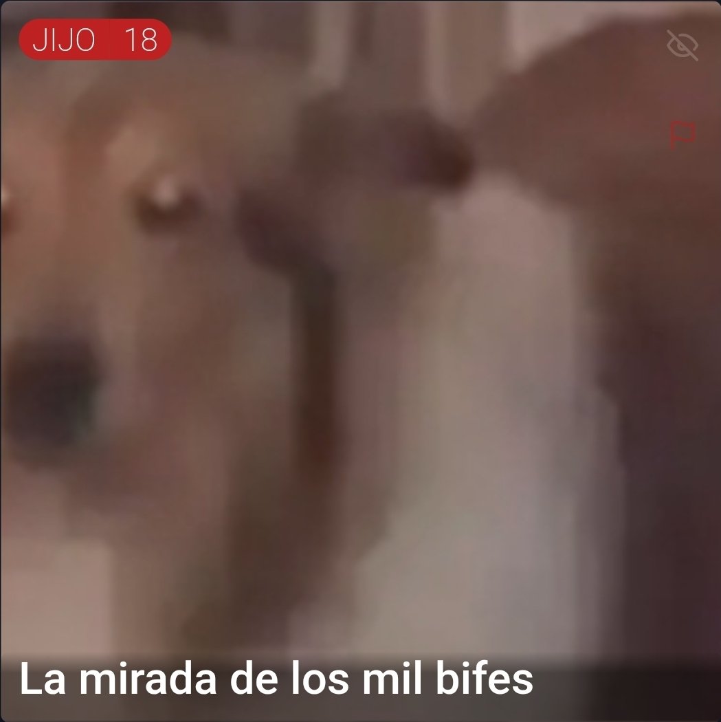 devoxpolitics's tweet image. 