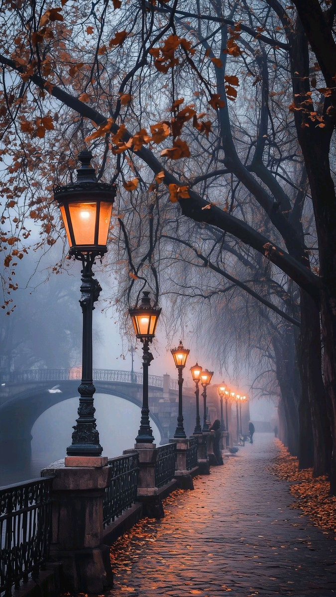 ValentyneDreams's tweet image. Wandering through the fog.