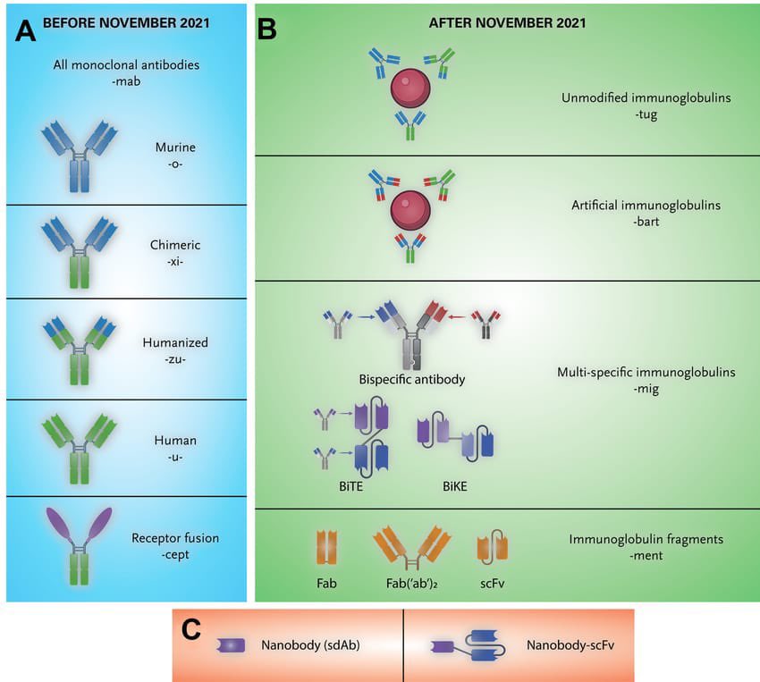 Muy buena imagen de clasificación actual de anticuerpos monoclonales 
👌🏻👌🏻👌🏻