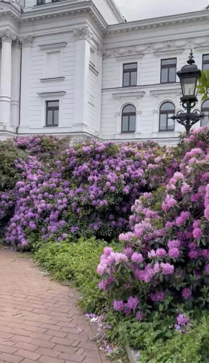 💜Good morning💜

Have a  great day🌿🌿🕊️