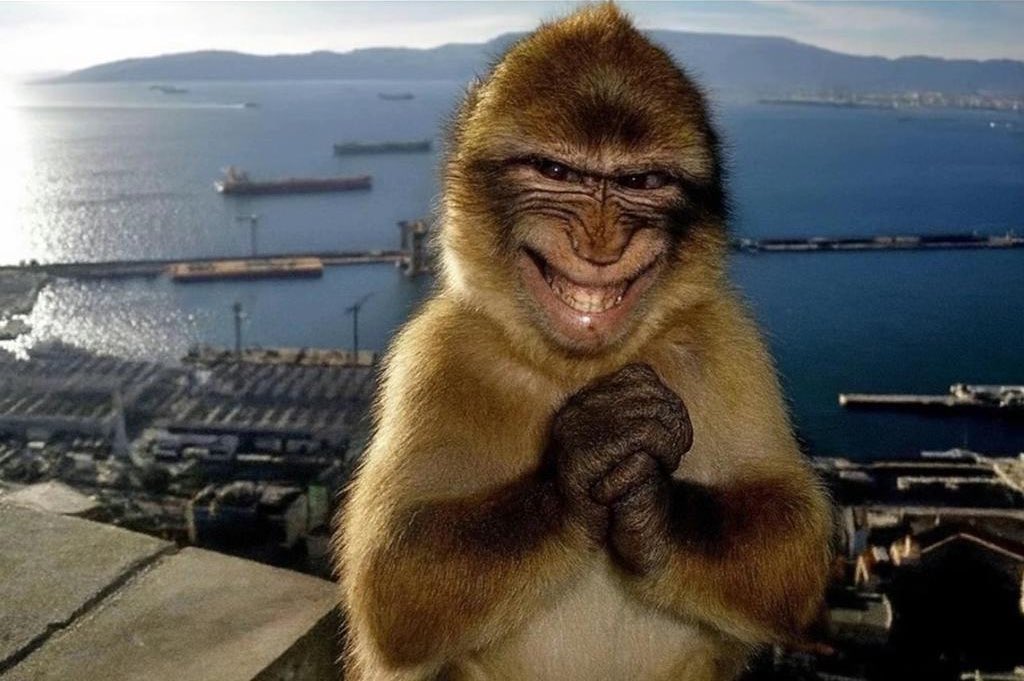 حمزا tweet media