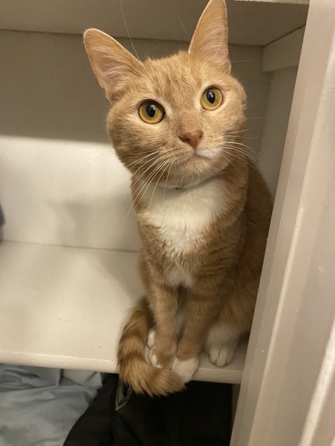 mine  face aftur  an long  day of  gorl  bossing  ‼️