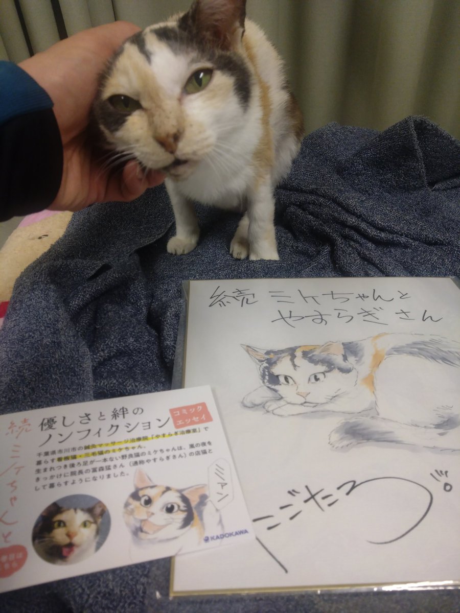 ミケちゃん「おはよ〜。今日は本の発売日だね〜。多くの方が手に取ってくれますように(⁠.⁠ ⁠❛⁠ ⁠ᴗ⁠ ⁠❛⁠.⁠)」
amzn.asia/d/doxnFVc