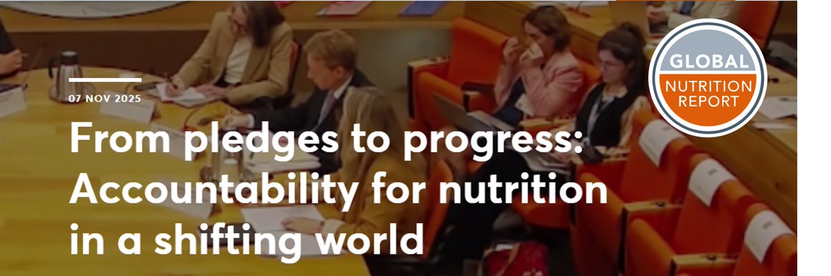 Global Nutrition Report tweet media