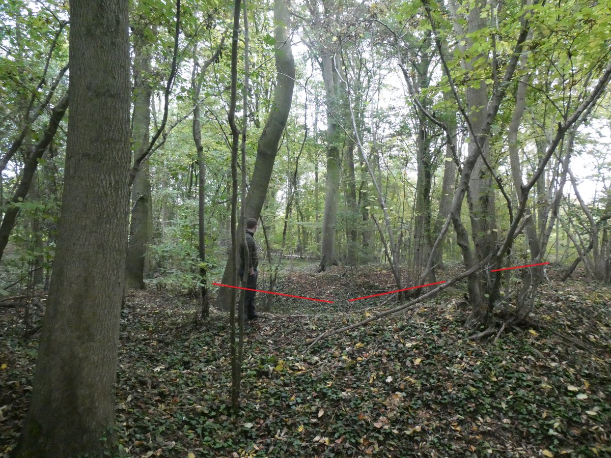 Tom Tulloch-Marshall tweet media