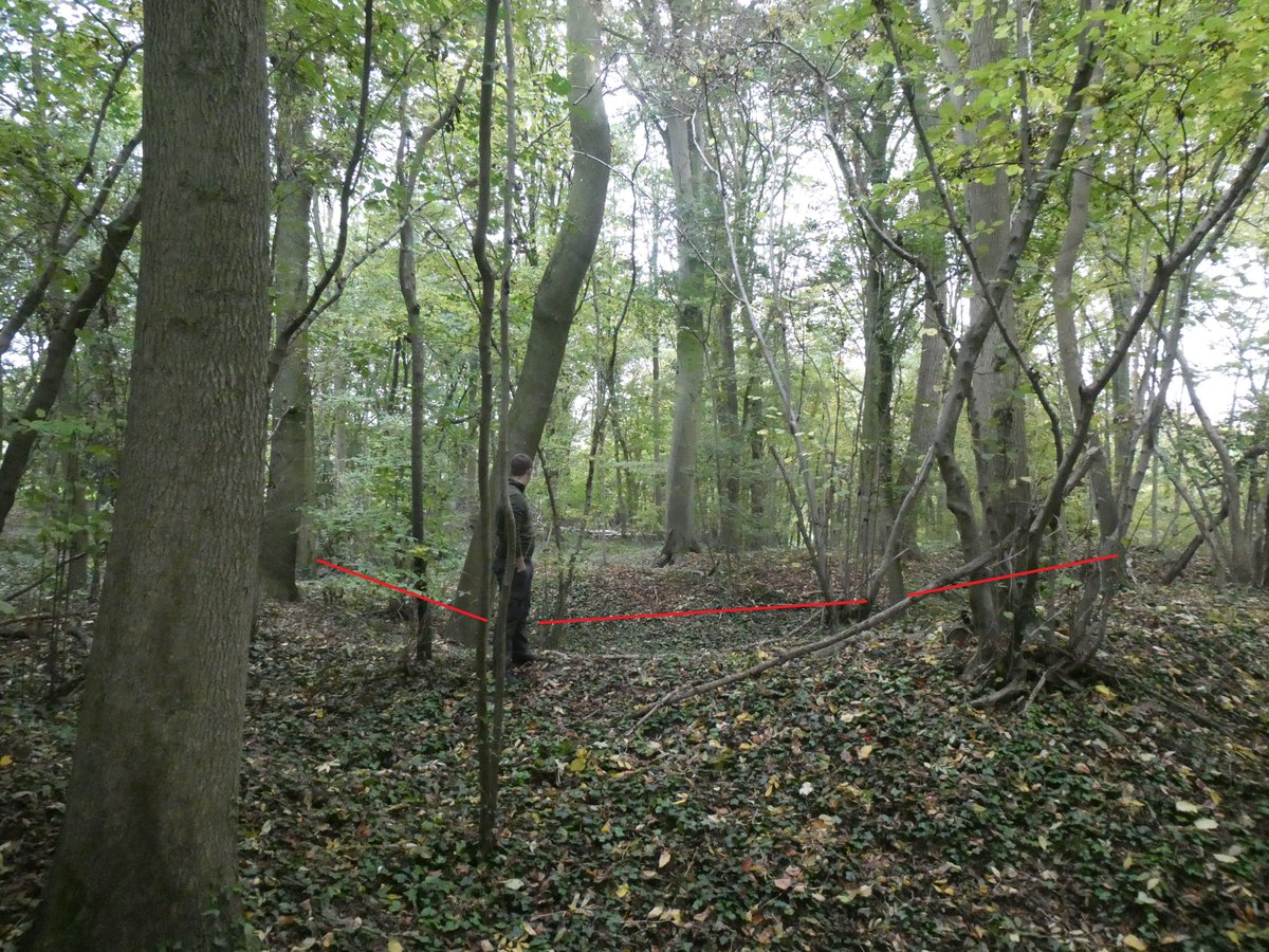 Tom Tulloch-Marshall tweet media