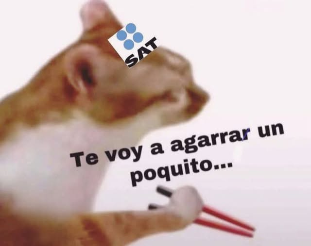 ferferlan's tweet image. Era un poquito, no todo HDPM!!!