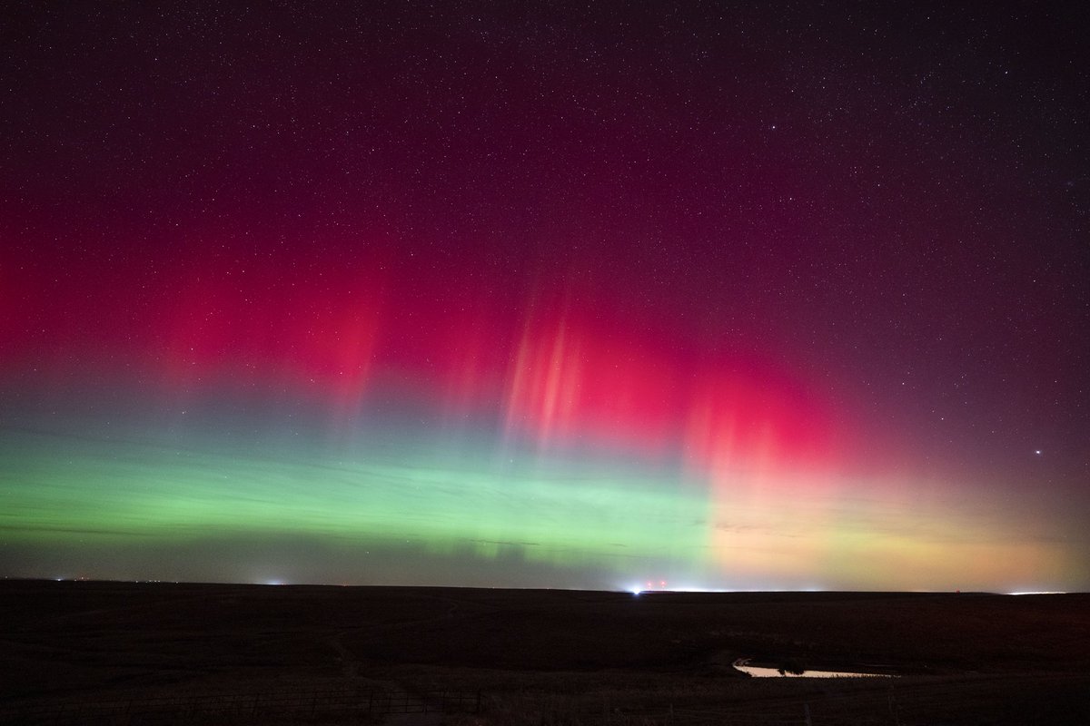 Max Olson tweet media