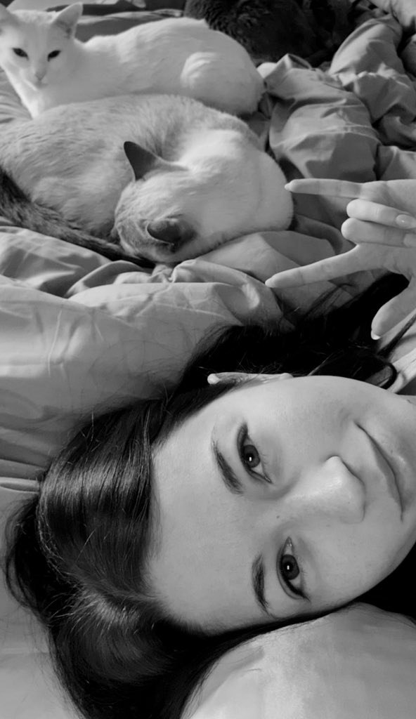 RhondaLBh0's tweet photo. Sam never wants to leave my side, she’s such cutie ☺️🐱 

#catmom #catlover https://t.co/eNunyUjCU6
