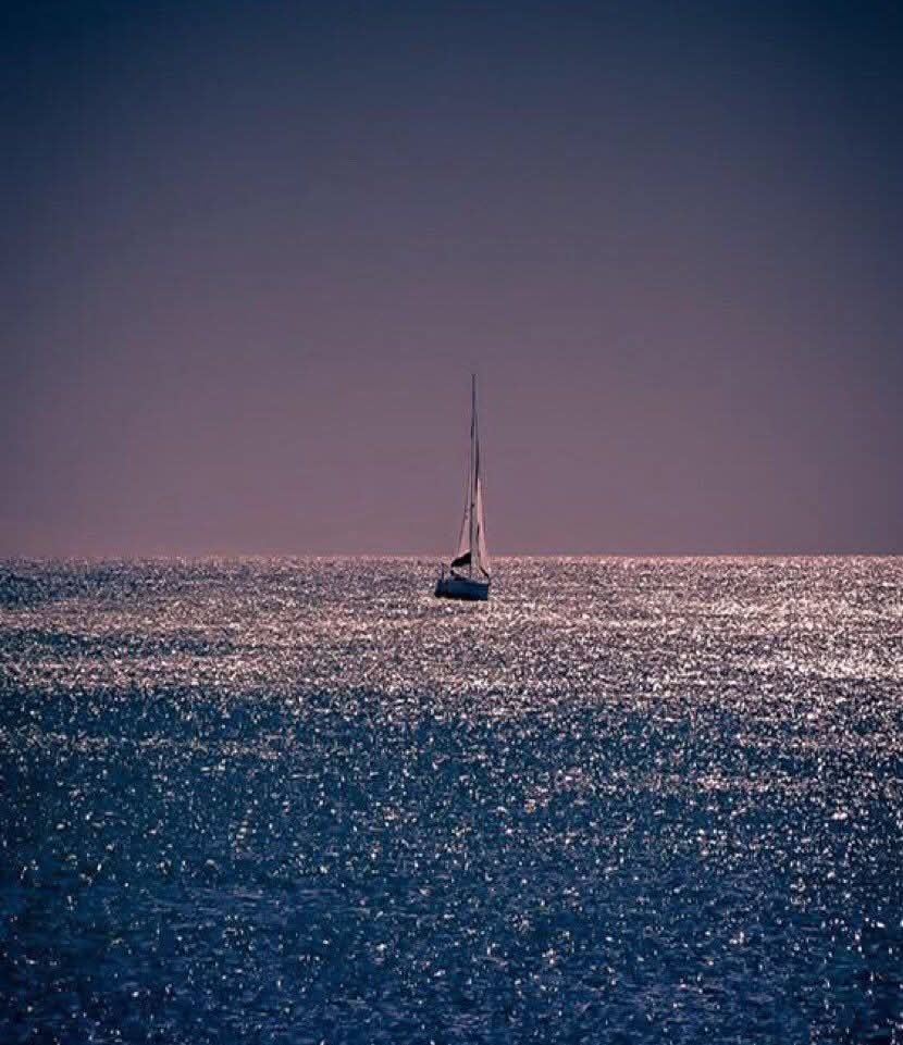 Patricia tweet media