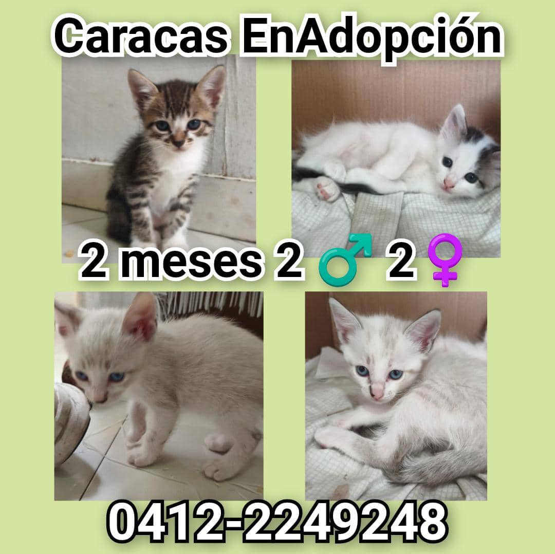 Arca de Jeannette 🇻🇪 tweet media