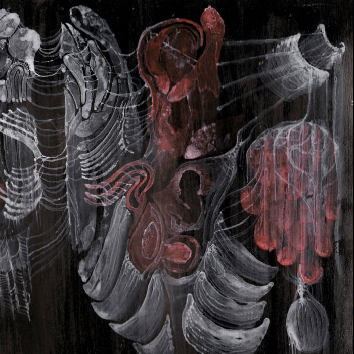 KMANRIFFSMetal's tweet photo. FULL FORCE FRIDAY:🆕November 14th 5⃣1⃣🎧
STRIGIFORM - Aconite 🇮🇹💠
Debut album from Italian Avantgarde Black/Death Metal outfit💠
BC➡️https://t.co/JEAcndSXl0💠*ALT
#Strigiform #Aconite #AVGBlackDeath #IVH #FFFNov14 #KMäN https://t.co/XvRx7UE0f4