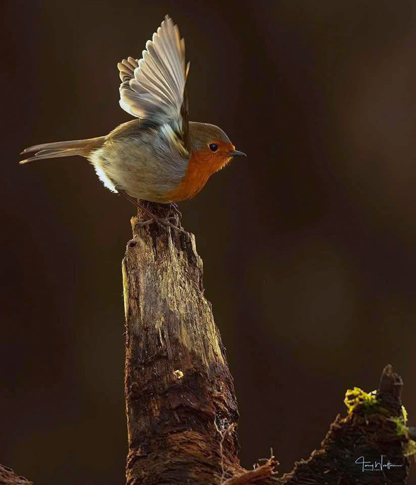 Early morning Stretch ….