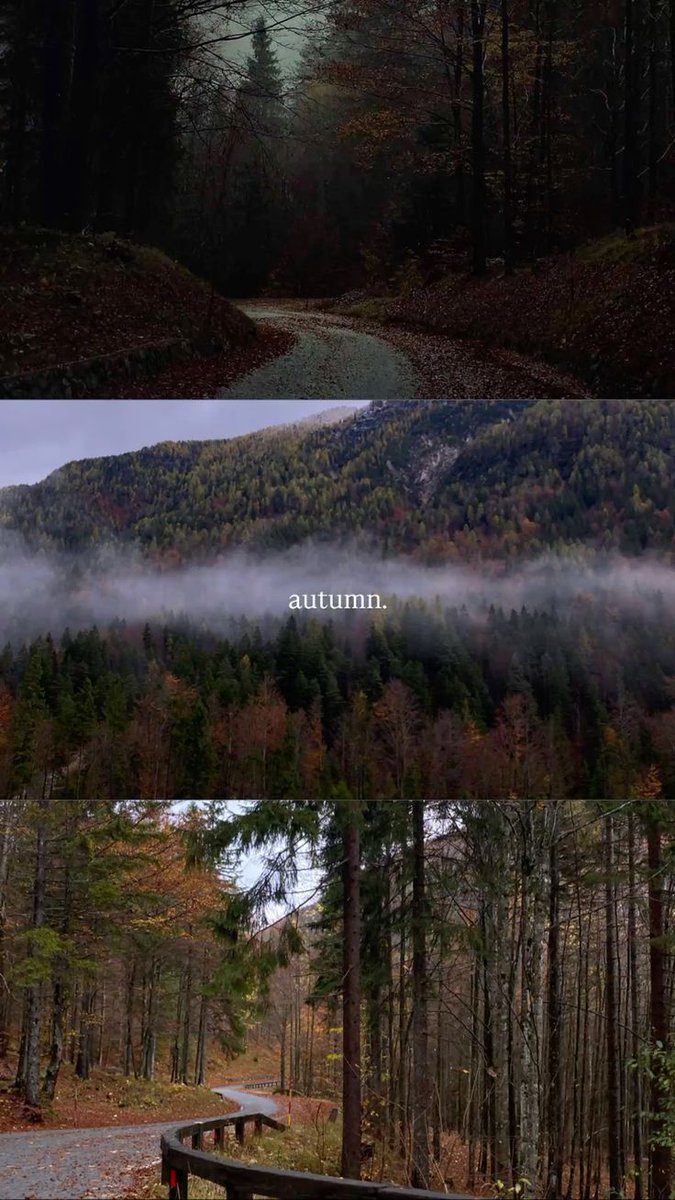 elemmiressoul's tweet image. 🖤