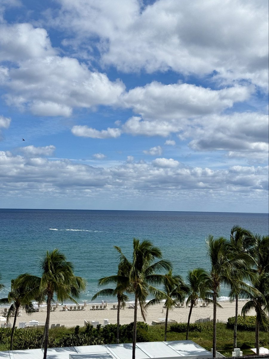 Samantha Armstrong tweet media