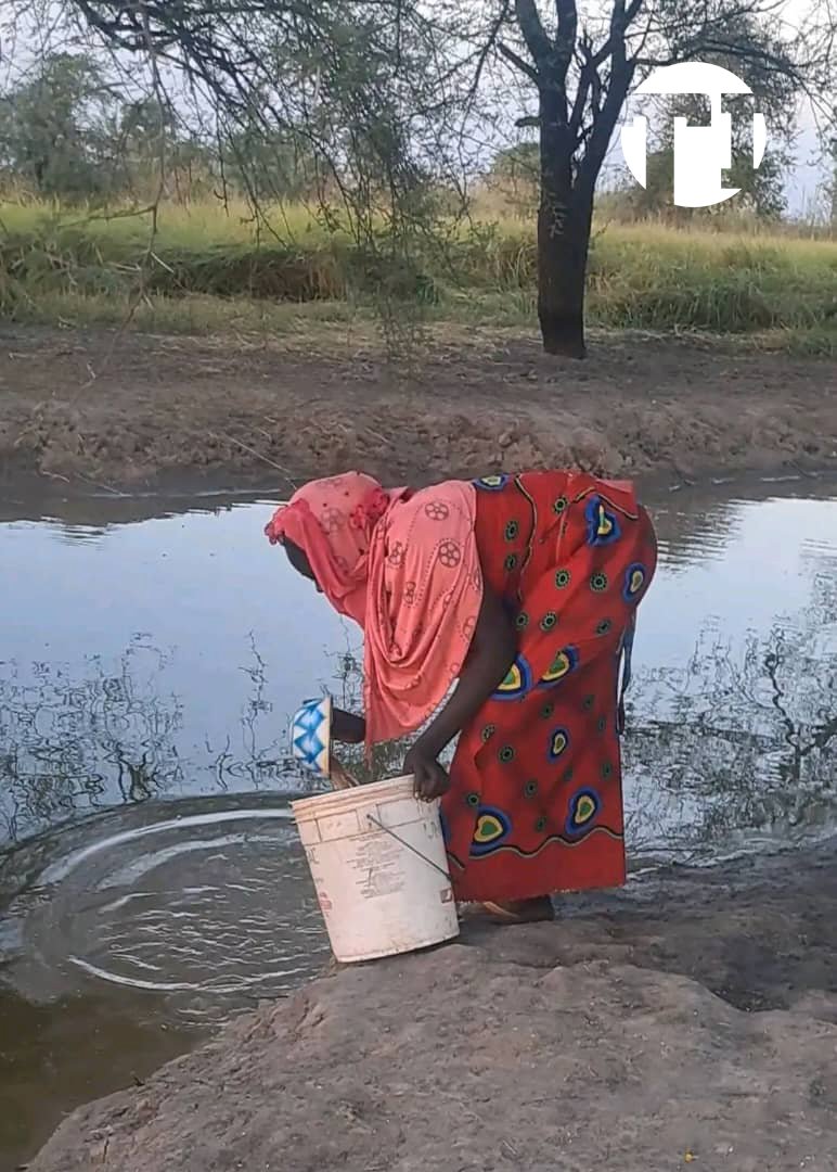 tchadinfos's tweet photo. À environ 40 km de #Tchaga, dans le #Batha, les habitants de #Mangbo et des villages voisins manquent cruellement d’eau potable depuis la fin des pluies. Sans forages et puits fonctionnels, ils boivent l’eau stagnante des marigots partagée avec les animaux, au risque de maladies. Ils appellent les autorités et les ONG à une intervention urgente. #Tchad 🇹🇩