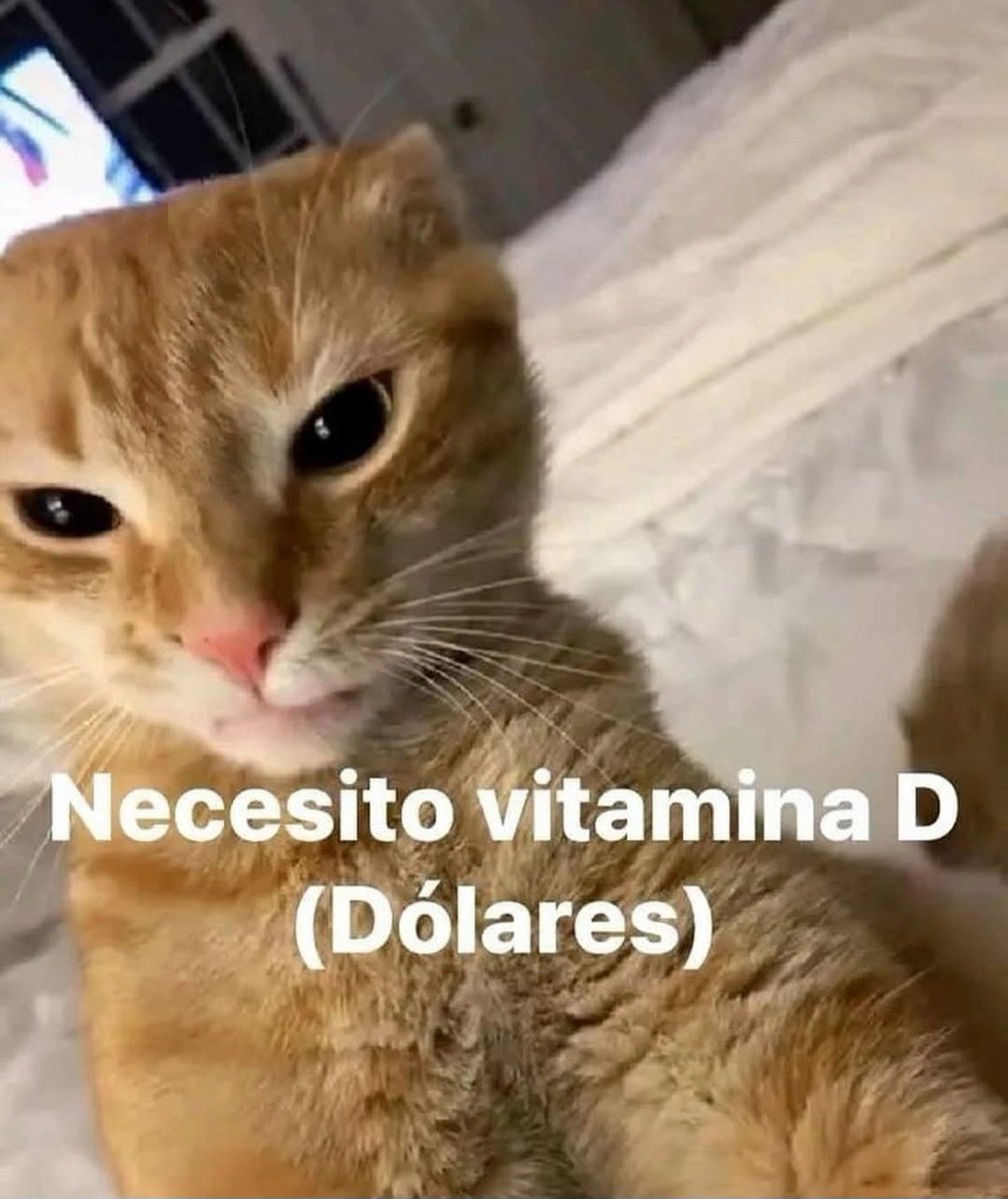 Animalesaprieto's tweet image. 