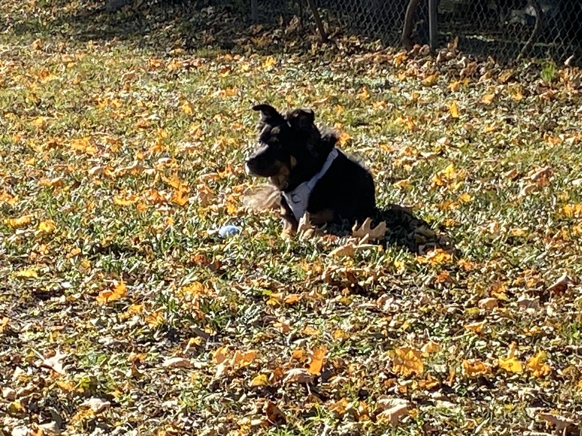 cleanspaces2007's tweet image. Wrigley living her best life.