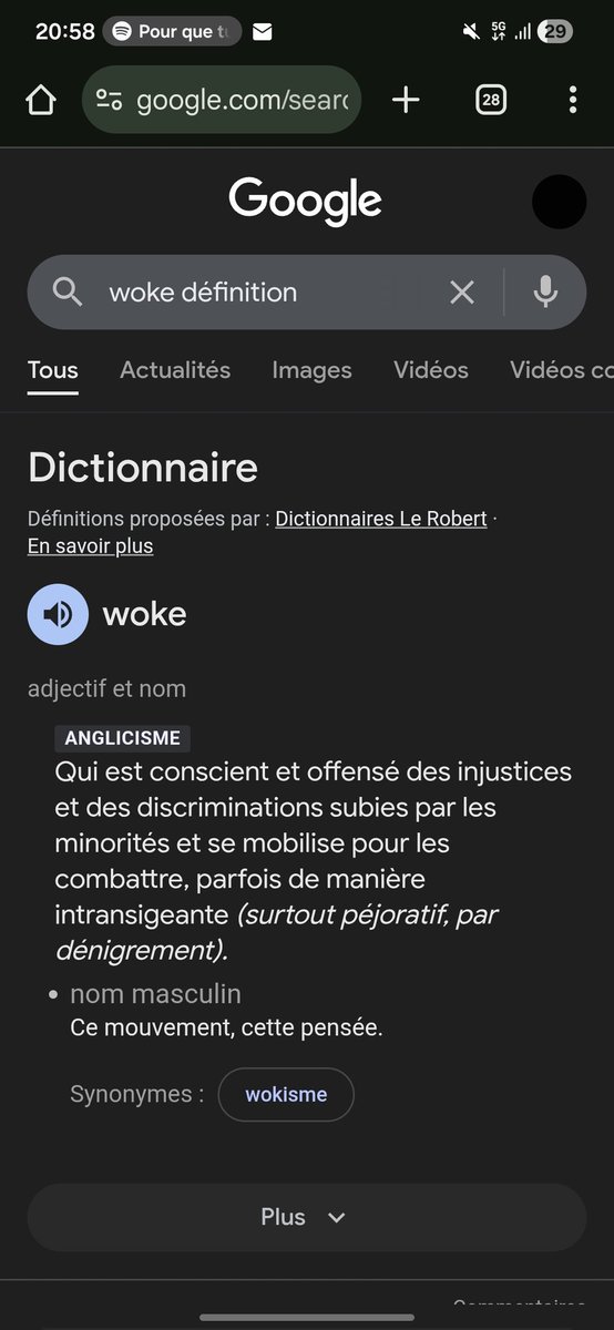 tema lema definition du truc que les fachos utilisent pour nous insulter genre la je dois me dire sue ça c'est mal allez dodo