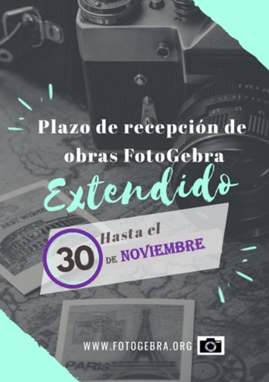 karina amalia rizzo tweet media