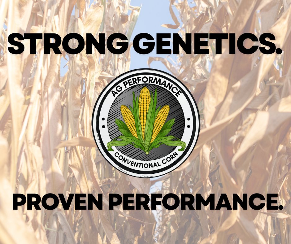 AgPerformanceBC's tweet image. Our Conventional Corn delivers reliable yield and standability season after season. 

📞 Call 641-562-2370  
🔗 agperformance.com/conventional-c…

#ConventionalCorn #AgPerformance