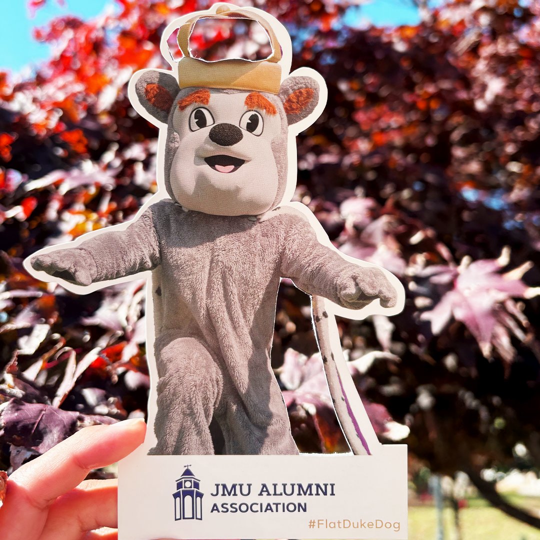 Duke Dog is soaking up the fall vibes this Wednesday! Nothing says the season like crisp leaves and purple pride. 

Want your own Flat Duke Dog to join the adventure? Grab yours here: alumni.jmu.edu/s/1591/18/inte…

#WhereIsDukeDog #FlatDukeDog #JMUDukes