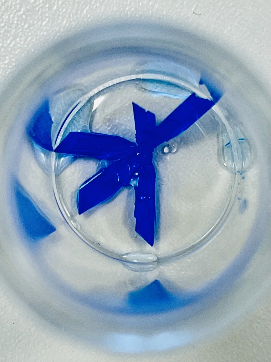 MINDlabpt's tweet image. MINDlab Experiments: “Peace”Crystals.
Crystallization of a New Copper Compound.
MINDlab.pt/science
#sciart #scicomm #chemistry