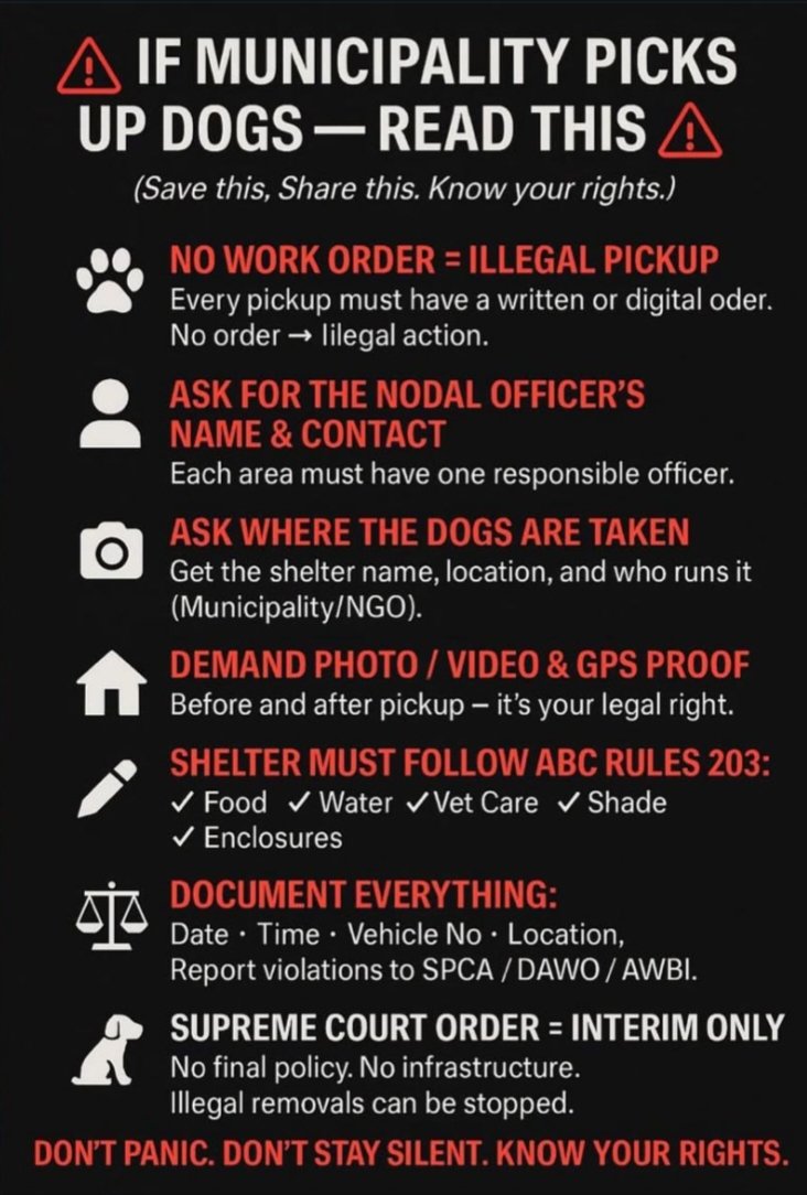 SaviourOfStrays's tweet photo. 🚨 MUNICIPAL DOG CAPTURE: KNOW YOUR RIGHTS! 🚨
 
#AnimalWelfare #IndiaLaws #StrayDogs #KnowYourRights #SaveIndianDogs #SavioursofStrays #AnimalRights #StopAnimalCruelty #VoiceForTheVoiceless #JusticeForAnimals #HumanityFirst #AwaraNahiHumaraHai https://t.co/nsmcqTcX4k