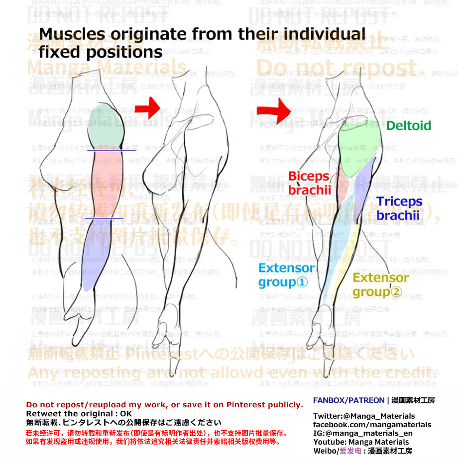 MangaMaterials2's tweet image. PERSONAL NOTE: Arm Line

Movement of the elbow: (supinated)
Patreon
patreon.com/posts/movement…
FANBOX
mangamaterialsen.fanbox.cc/posts/570724

Arm: Summary of the common mistake and the correcting method
Patreon
patreon.com/posts/arm-summ…
FANBOX
mangamaterialsen.fanbox.cc/posts/544703

#arttutorial