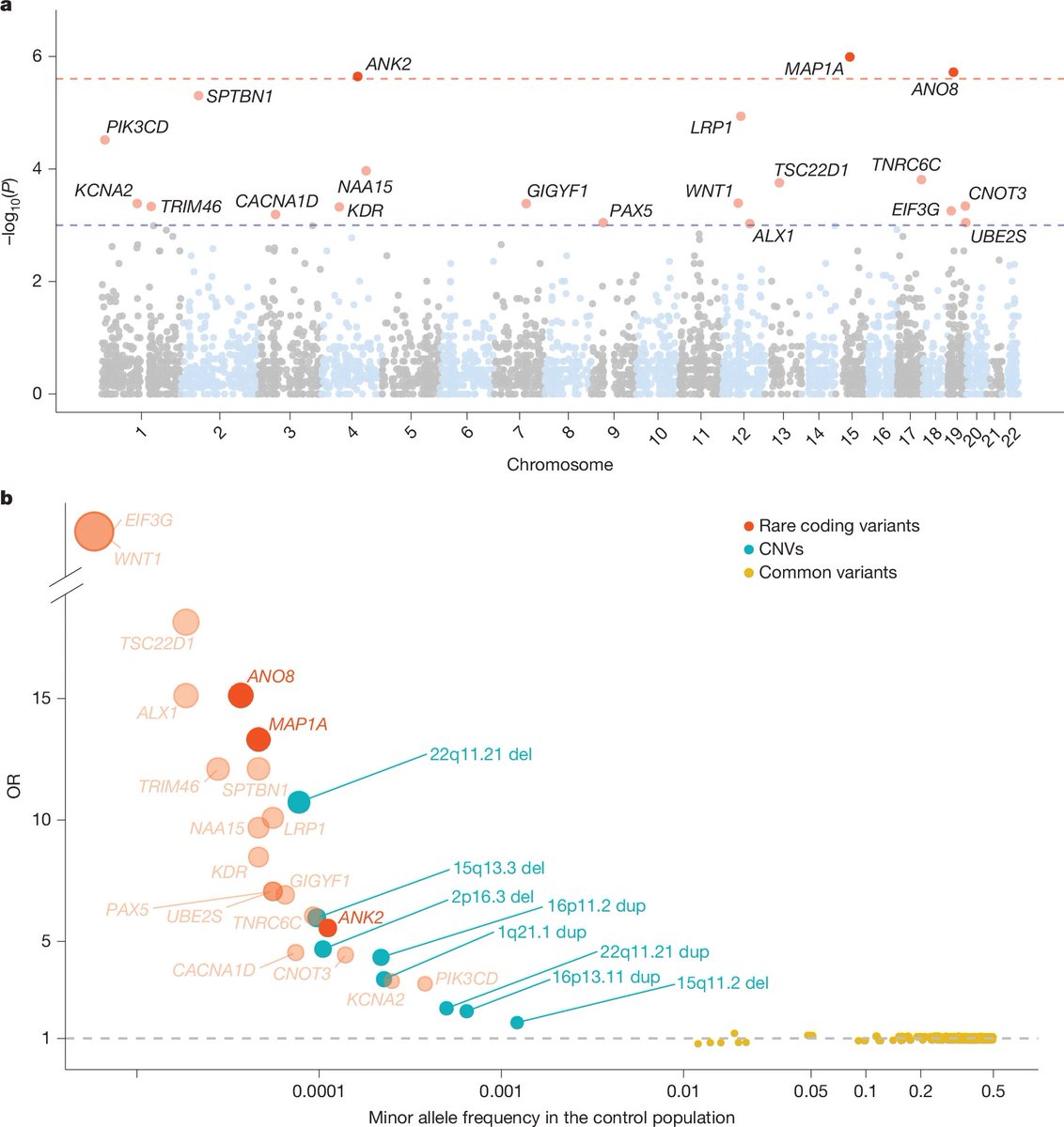 doctorveera's tweet image. An exome-wide association study of ADHD in 8,895 cases and 53,780 controls from the iPSYCH cohort published in Nature!  
Congrats to my former colleagues Jinjie Duan, Ditte Demontis, Anders Børglum and others. 

Demontis et al. Nature 2025 
nature.com/articles/s4158…