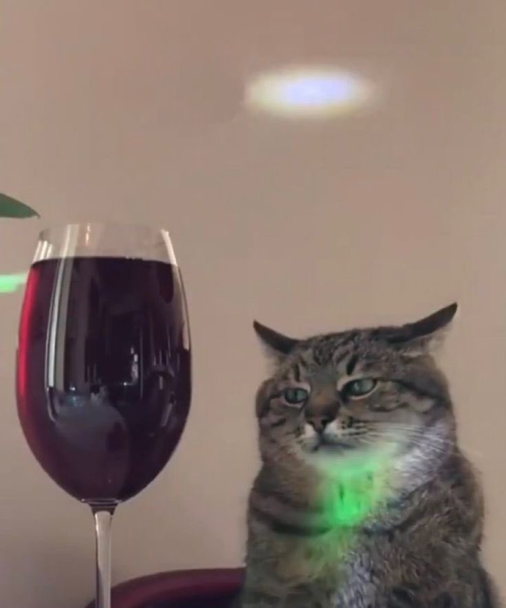 eldiariodemetal's tweet image. Así nosotros intentando mantener la calma para la venta de boletos de AC/DC en México. 🥲🎟️

#ACDC #Ticketmaster