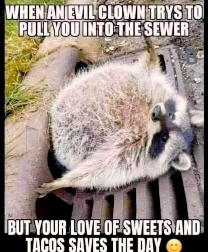 wicketcracker9's tweet image. 