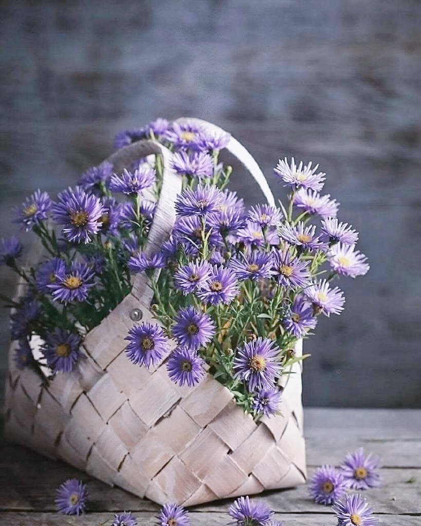 في غيابكِ، يتثاءب الحنين كطفلٍ يرفض النوم إلا على صوتكِ