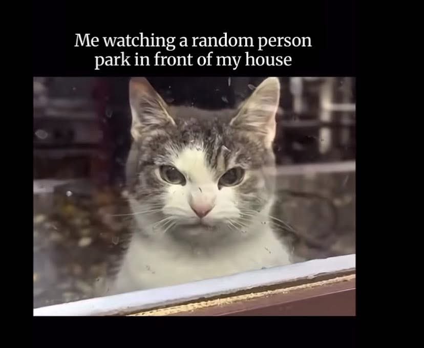 Candy Liggett 🐾 (@candyliggett) on Twitter photo 