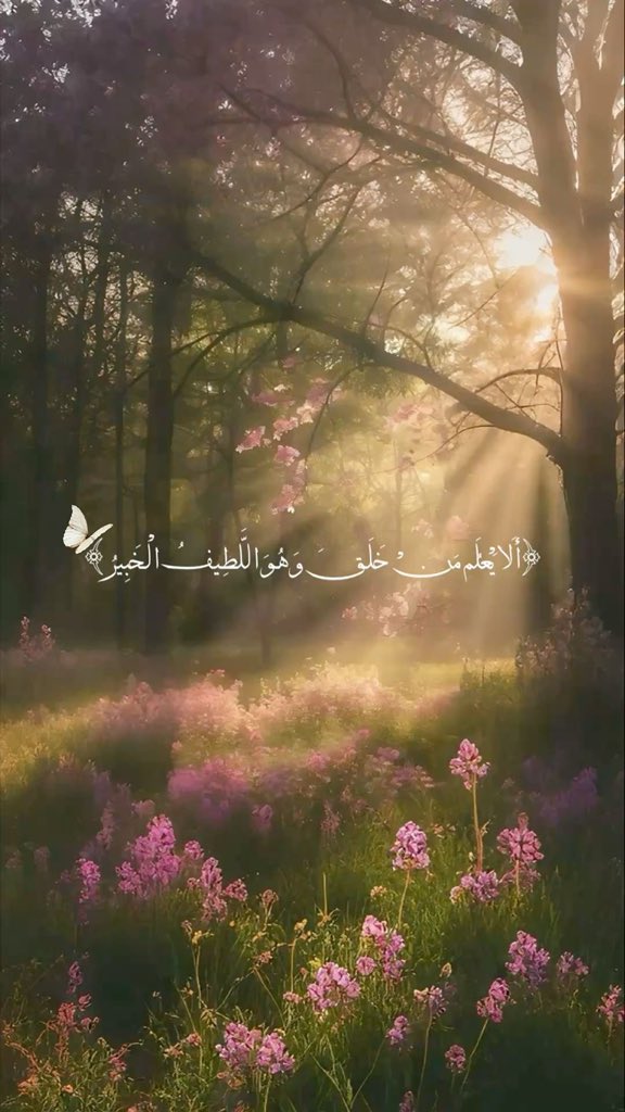 shoomoke tweet picture