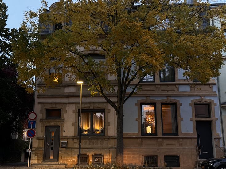 saintkikismith's tweet image. november mood