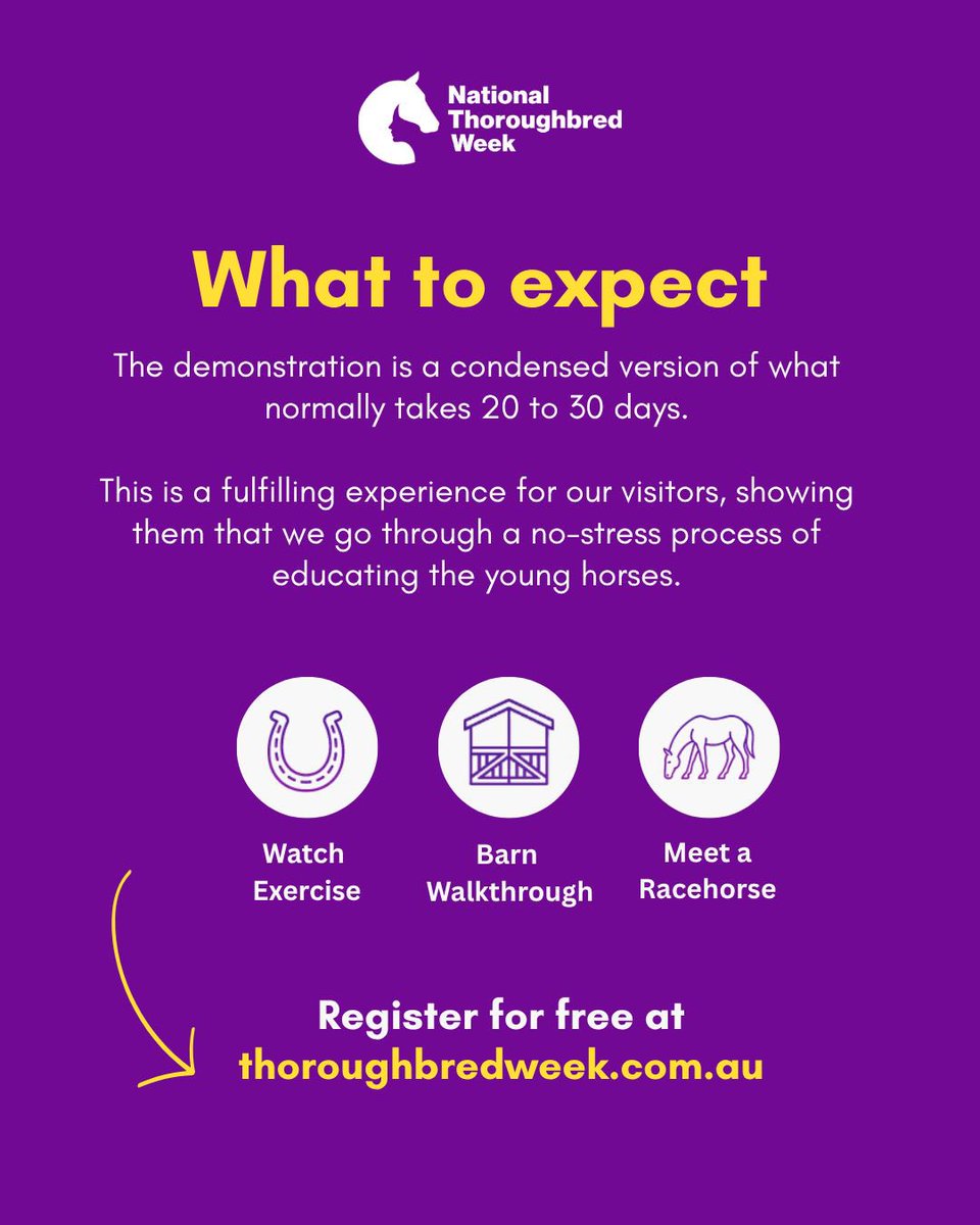 National Thoroughbred Week tweet media