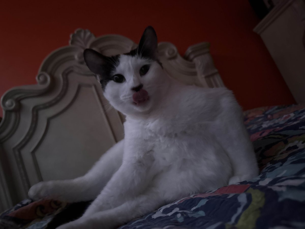 Axanss's tweet image. 