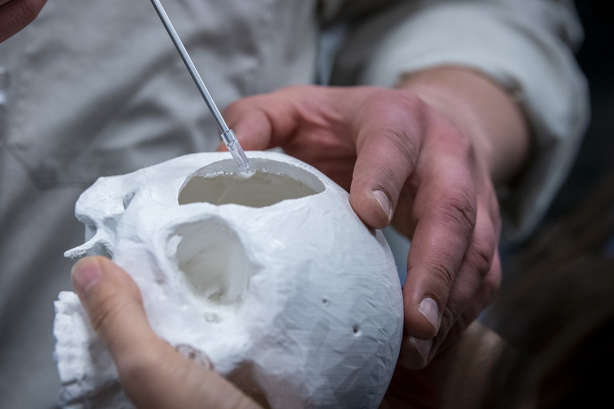 KingstonHSC tweet media