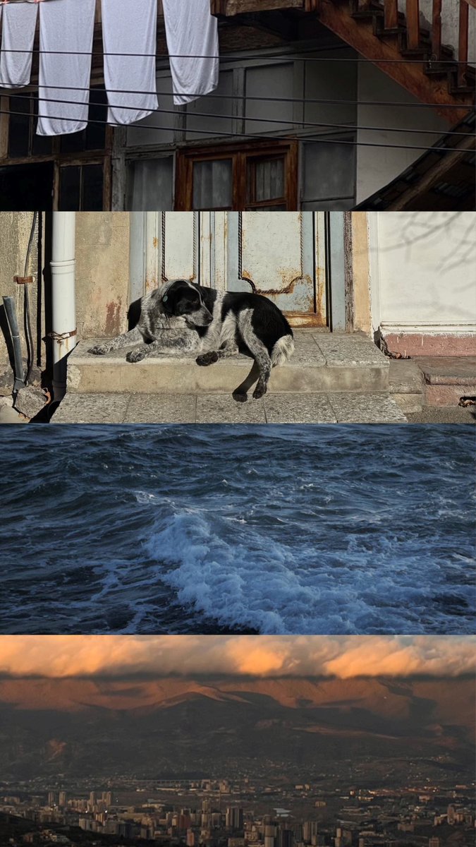 marwaamuneer's tweet image. georgia📍