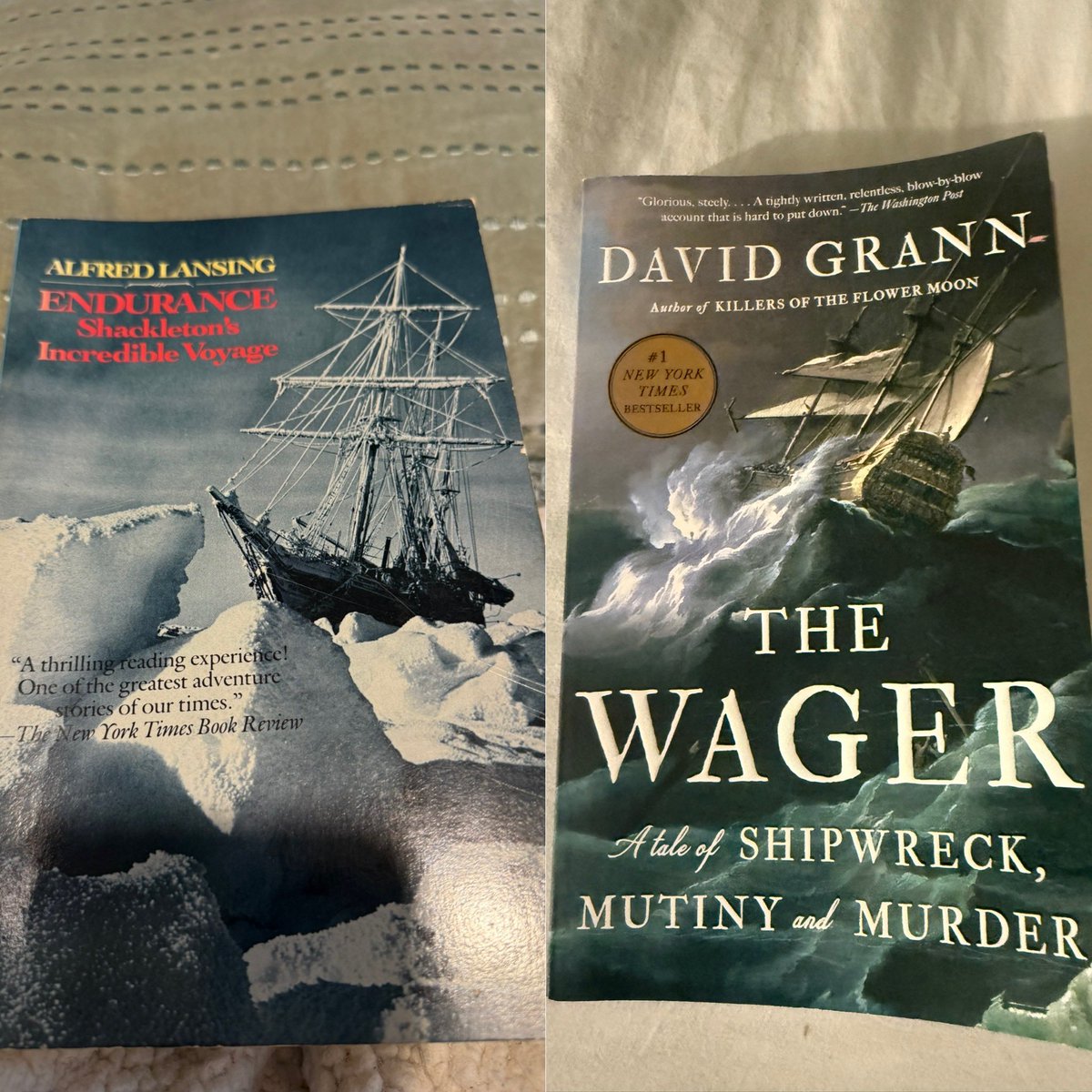 nbabbitz tweet media