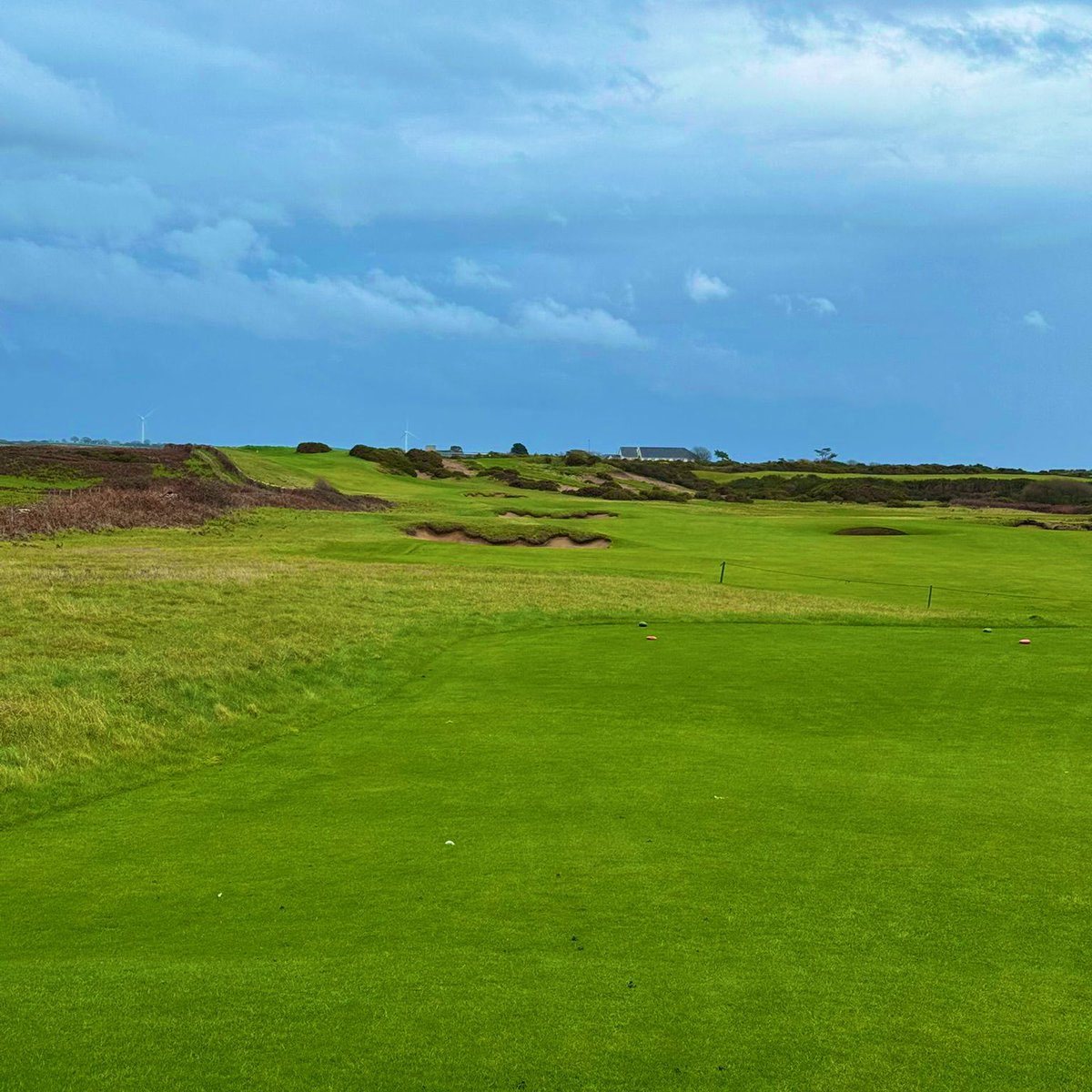 Alex Perry tweet media