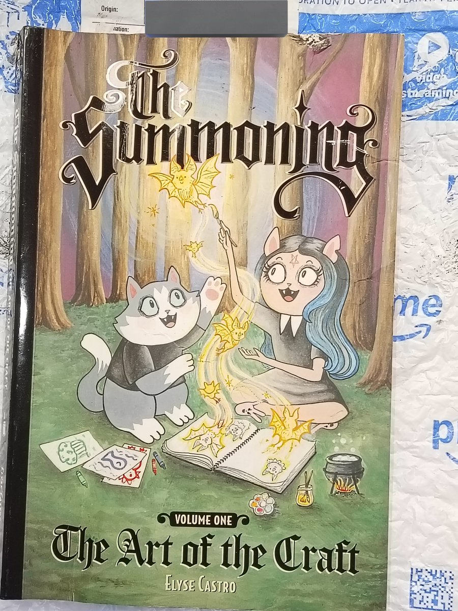 QueenSpooky's tweet image. I hate Amazon, I hate Amazon, I hate Amazon.
They damaged the book and I was so happy to receive it...
I already sent it back and I got my money but I really wanted the book...