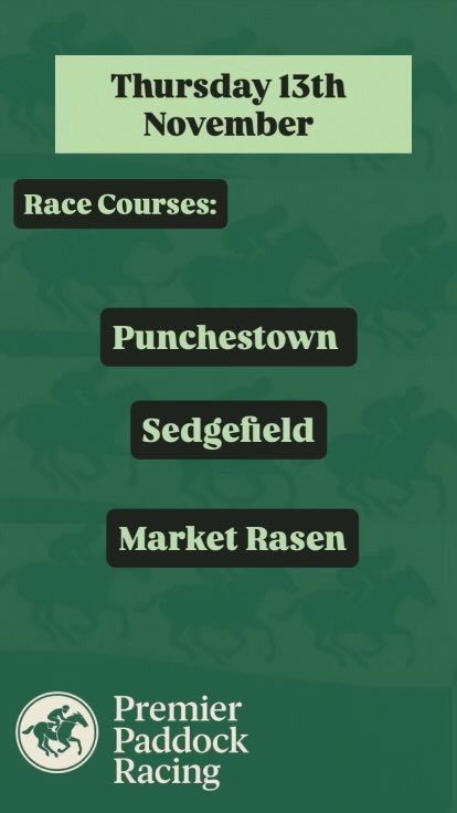 premier_paddock's tweet photo. Racing action

Thursday 13th November

A couple to keep an eye on! 

#horse #HorseRacing #punchestown #sedgefield #HorseRacingTips https://t.co/z5W2Opsq8F