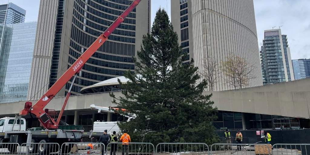 City of Toronto Culture tweet media