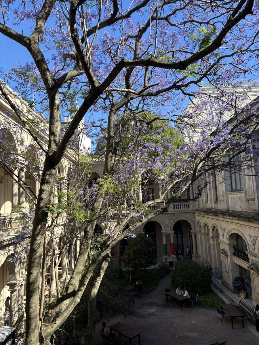 Venir a votar a las elecciones universitarias supone reencontrarse con lo bella que es la facultad de derecho. Gracias, UdelaR por tanto