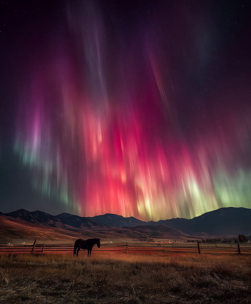 🚨: Extreme Auroras seen tonight over Montana. 🐴 Go out and look